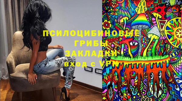 spice Каменка