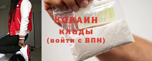 spice Каменка