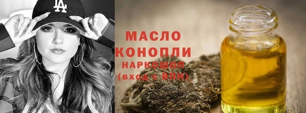 spice Каменка