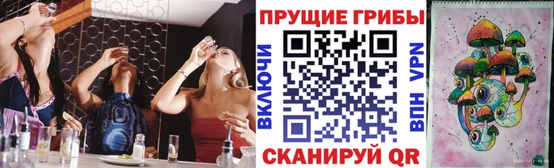 Купить закладки  Усолье-Сибирское  Псилоцибиновые грибы Psilocybine cubensis 